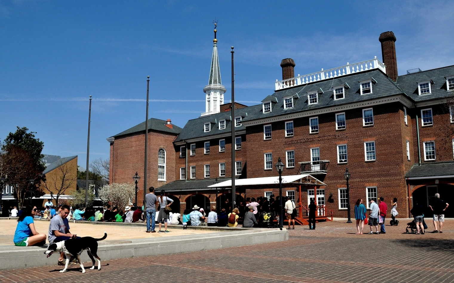 Alexandria Property Management