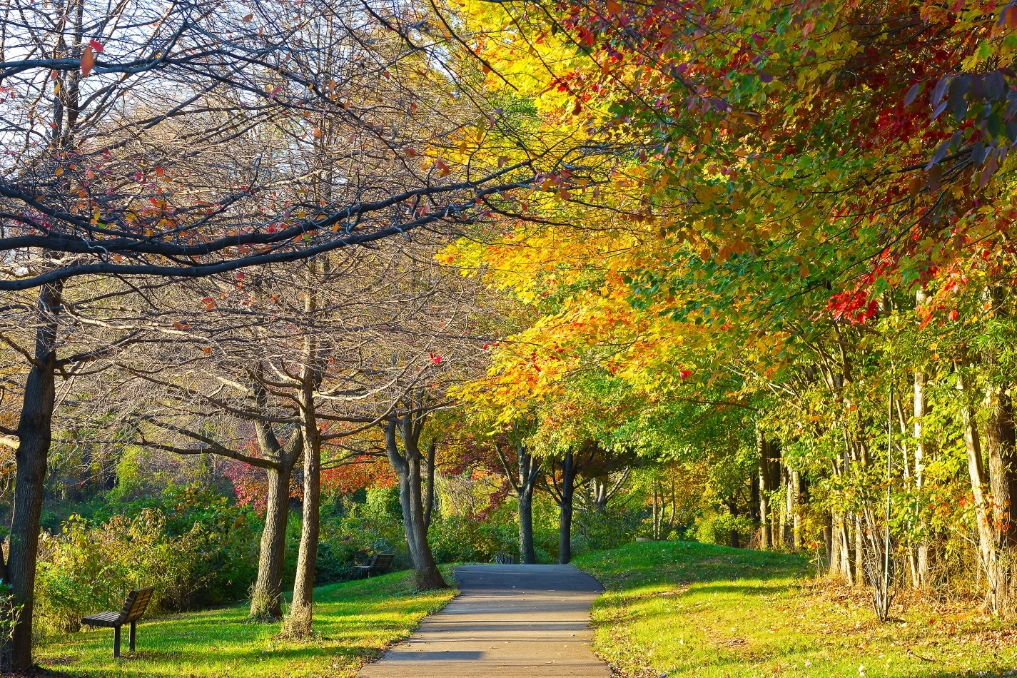 Falls Church Property Management